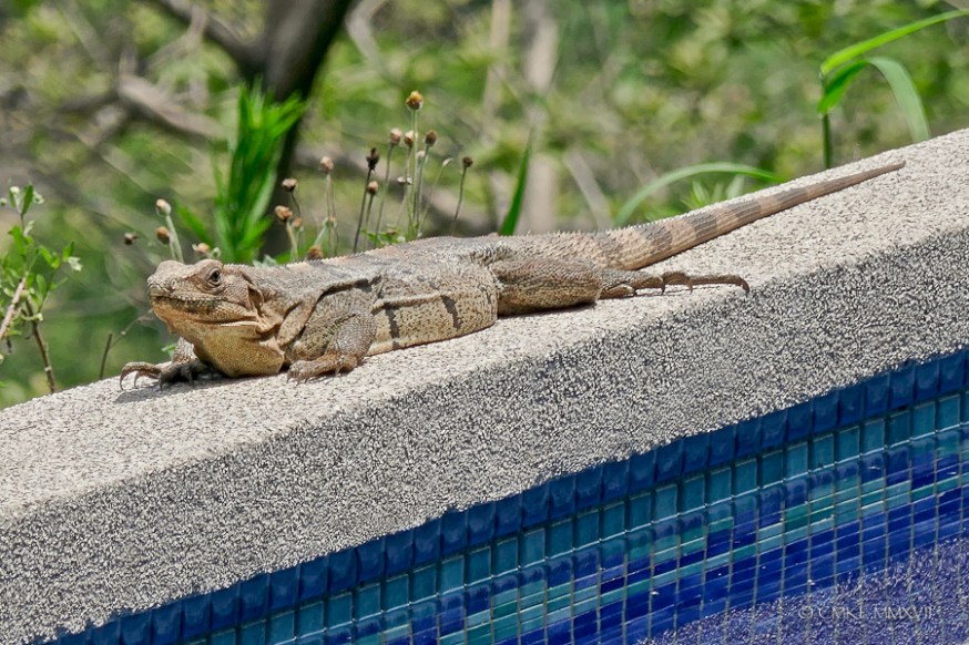 Atenas.May.2017.12-1220957