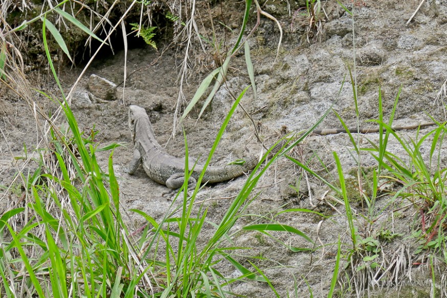 Atenas.May.2017.14-1220964