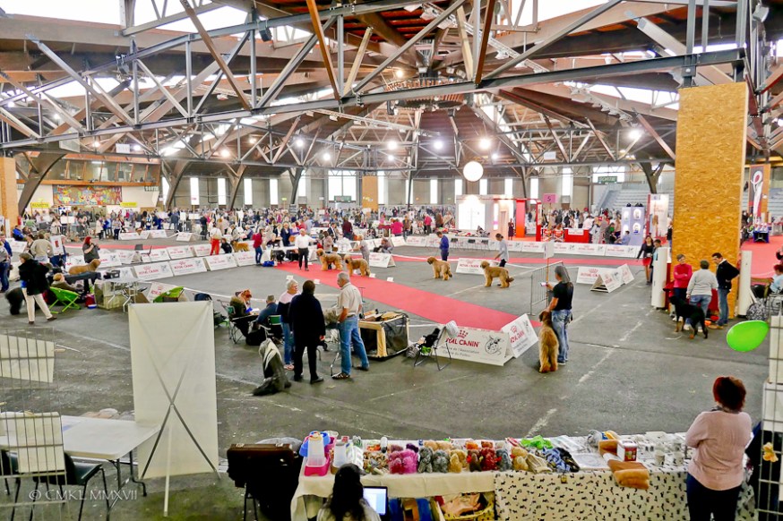 Poitiers.DogShow.08-1270275