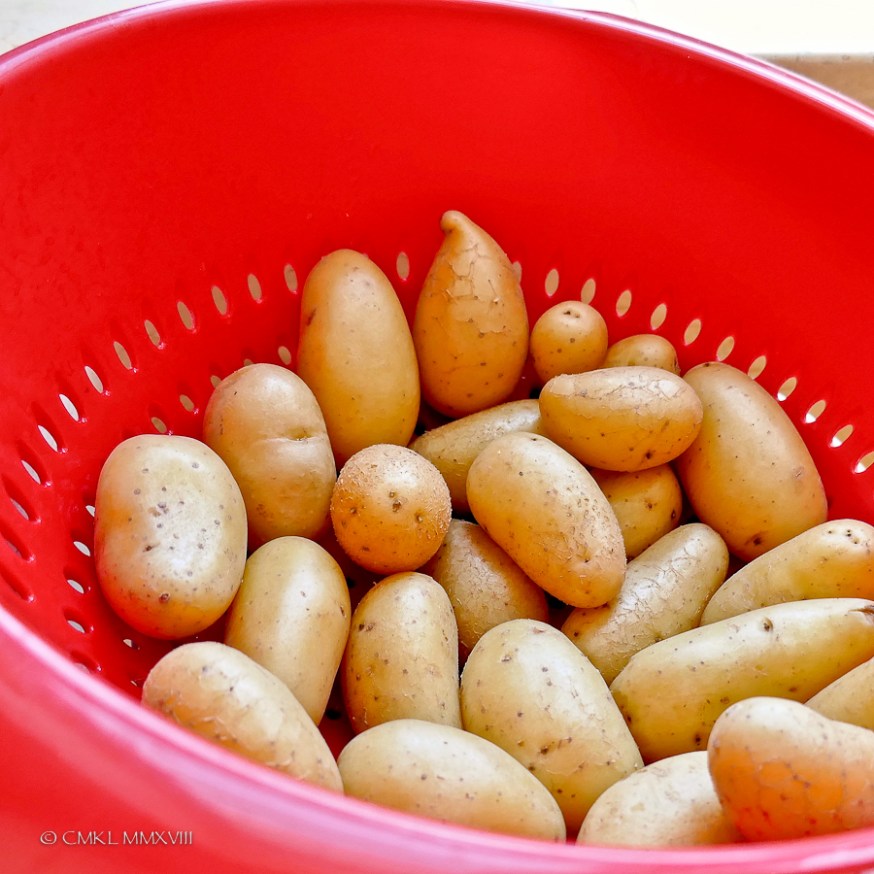 BeanDelight.13-1330290