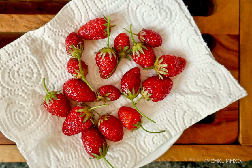 Strawberries.May-1360102