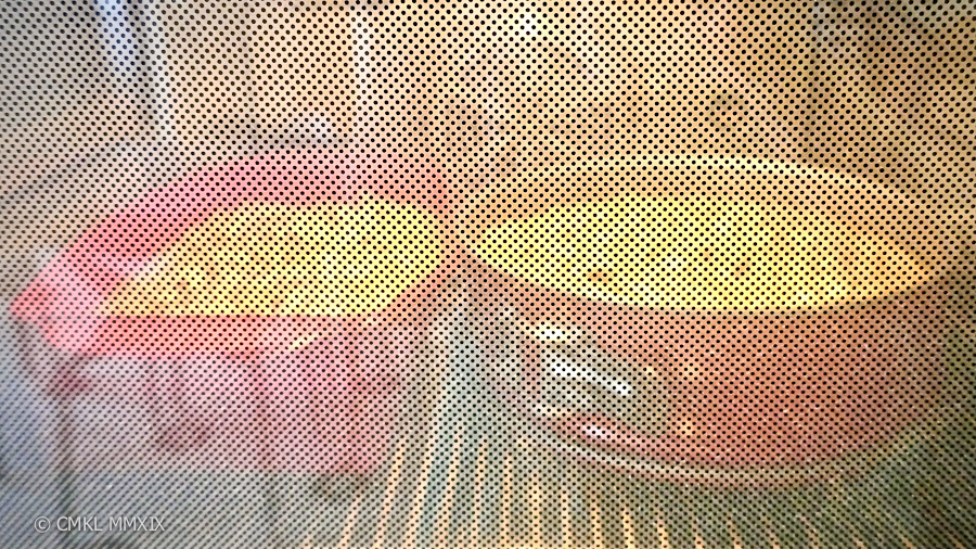 Zucchini.Bread.08-1360425