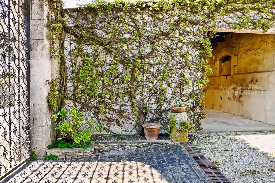 April.Garden.02-1410087